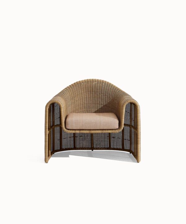 Cozy Lounge Chair for Living Room
