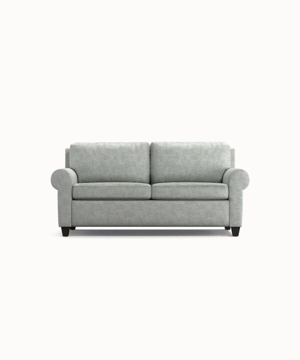 Cozy Sleeper Sofa with Solid Wood Frame